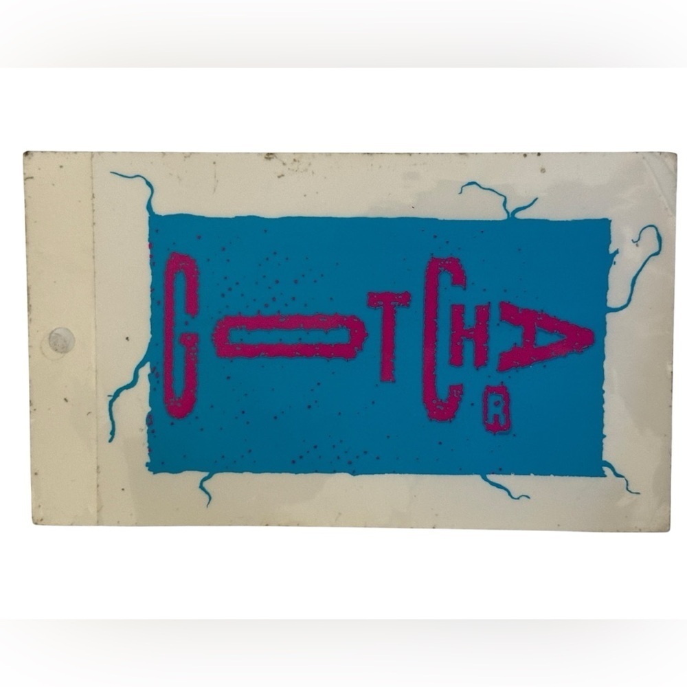 VTG Vintage GOTCHA Blue & Pink Surf Surfing Sticker